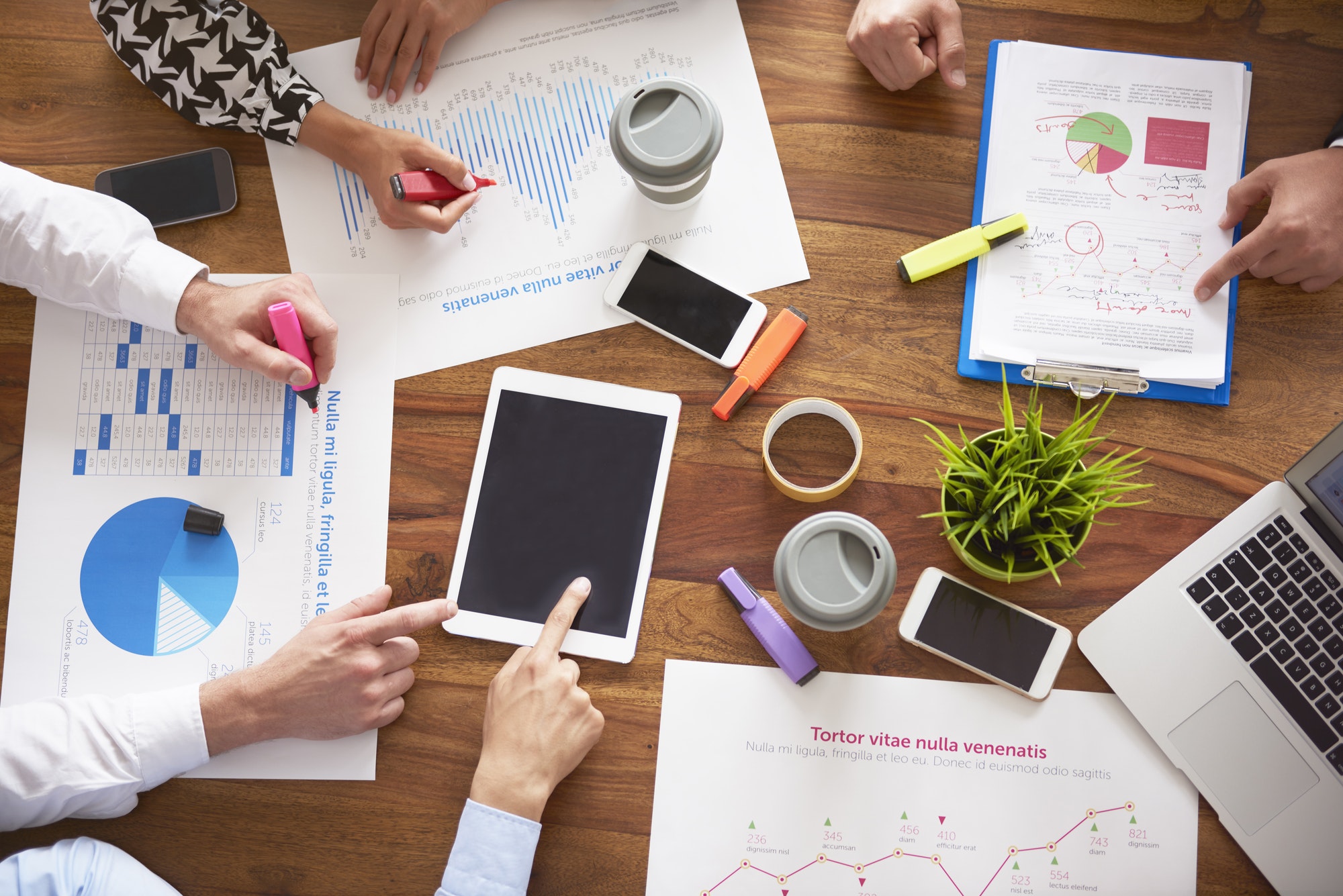 SEO & Content Marketing